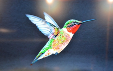 Google Hummingbird – Colibrí